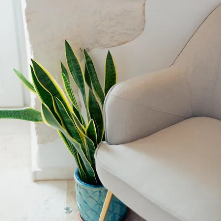 Heres - Trulli Experience * 푸티냐노