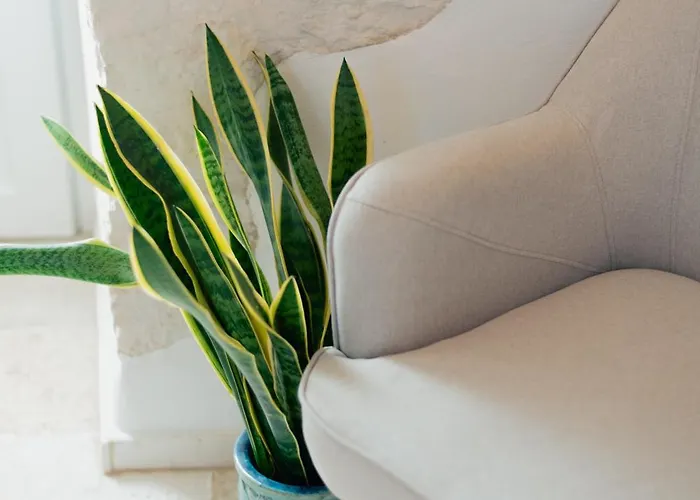 Heres - Trulli Experience * 普蒂尼亚诺